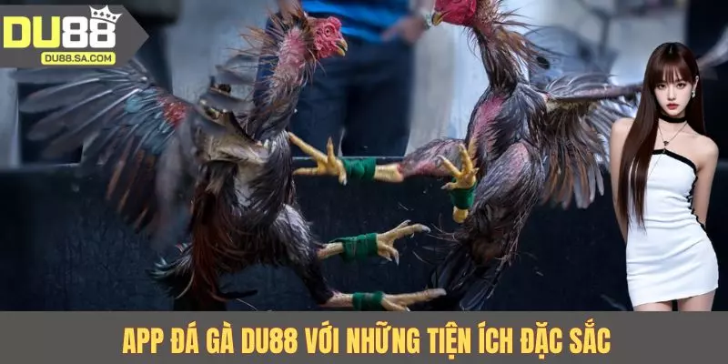 App đá gà DU88 với những tiện ích đặc sắc