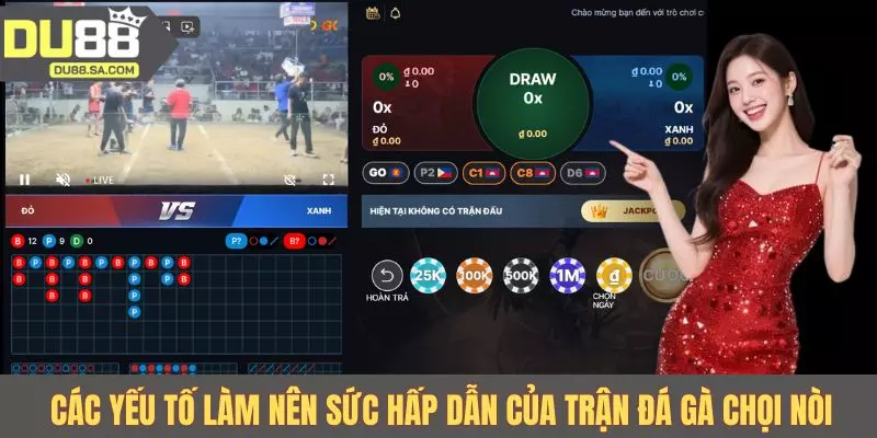 Các yếu tố làm nên sức hấp dẫn của trận đá gà chọi nòi