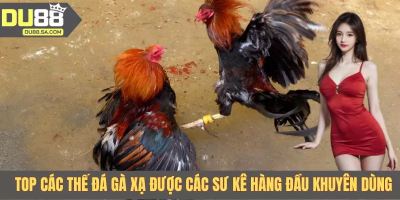 Top các thế đá gà xạ được các sư kê hàng đầu khuyên dùng
